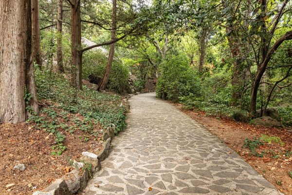 Stone Walkway Repair in Bel Air