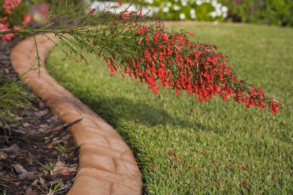 Brick Edging in Bel Air