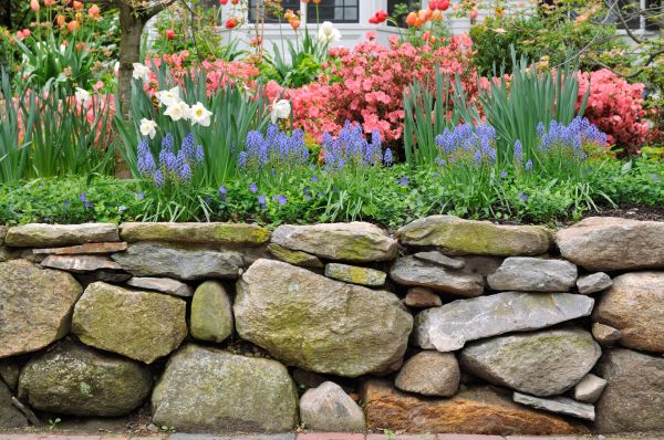 Stone Wall Hardscaping in Bel Air