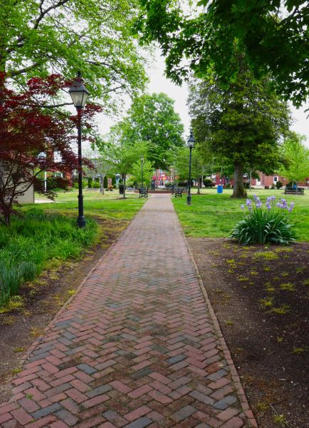 Brick Pathway Repair in Bel Air