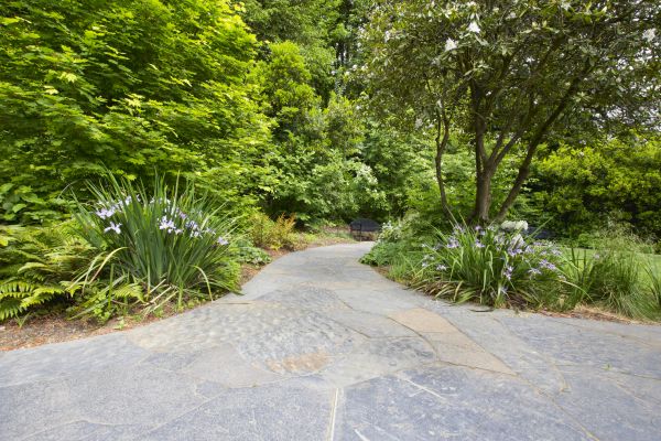 Stone Hardscape Service in Bel Air