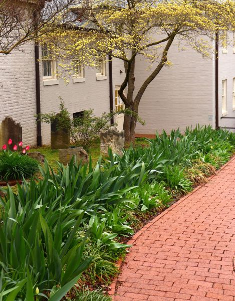 Brick Flatwork Repair in Bel Air